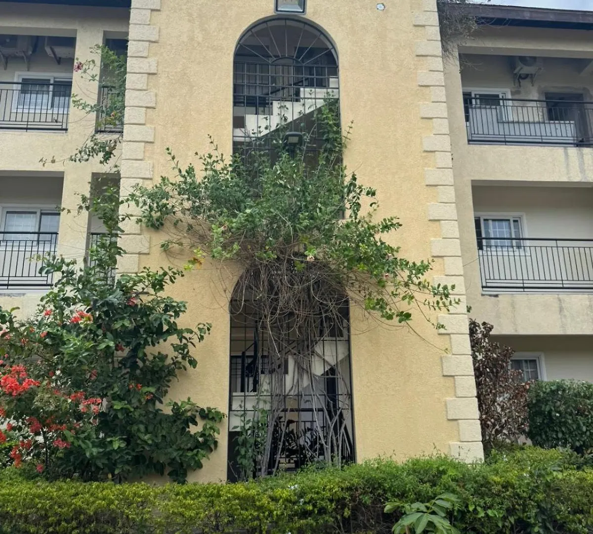 Pearl Of The City Beach Pearl Kingston Jamaica